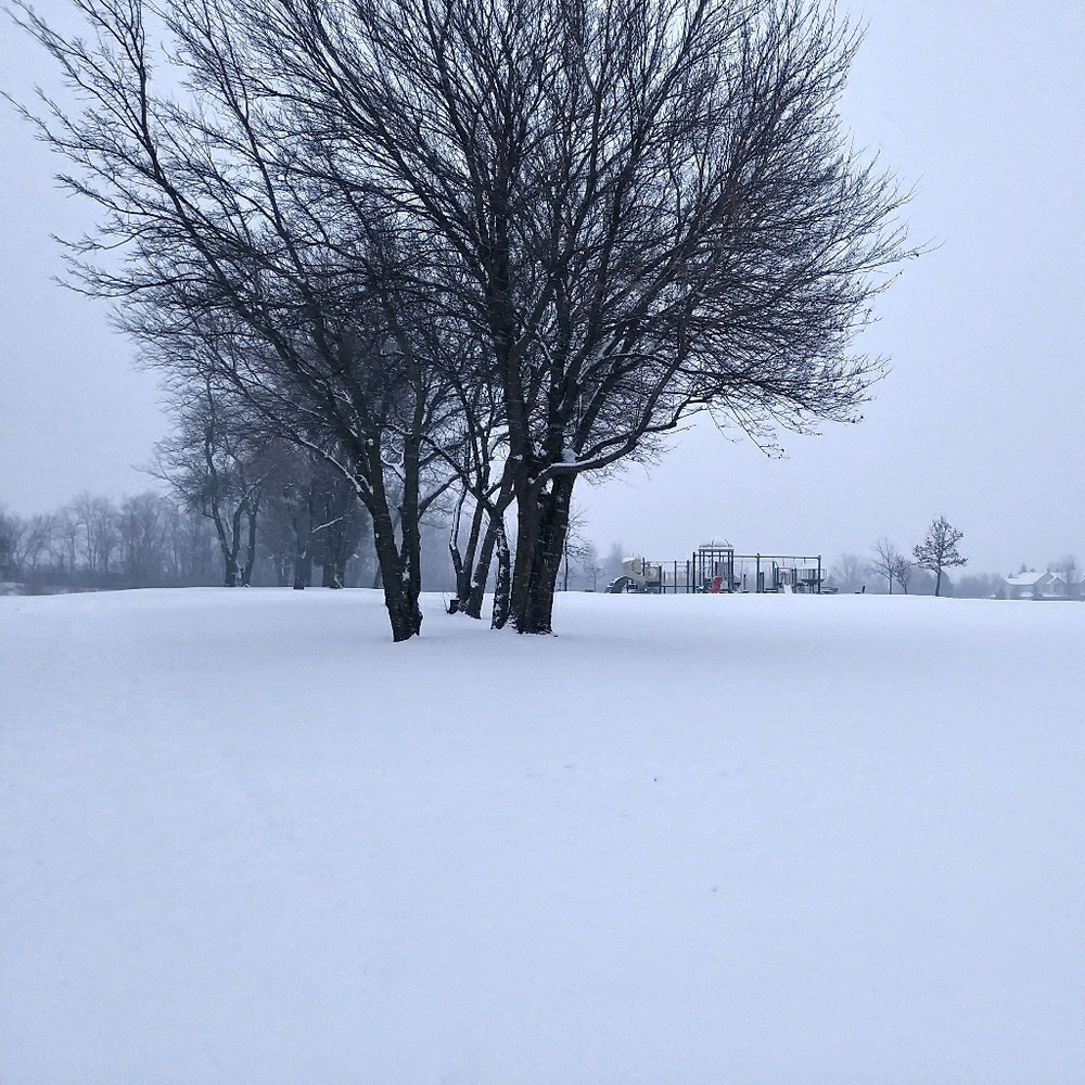 Meet your Posher, Nina